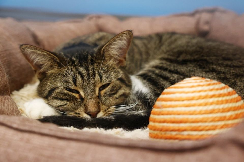 � ������ ������ ����� � ������ �������� �������� �� ��������� ���������