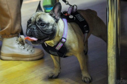 ����������� ����� � �������� ����������: ������ �� ������ ����� � ������ �� ��?