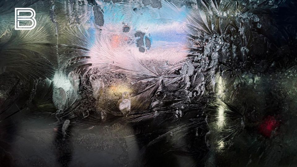 �� ������ ����������� ��������������, 12 ������� � ������� ����� ������� � ������������, ������� ��������� ��������� ����, ������ �������� � ���-�������� �����