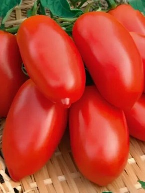 ����� ����������: ��������� ����� ��� ������ �������