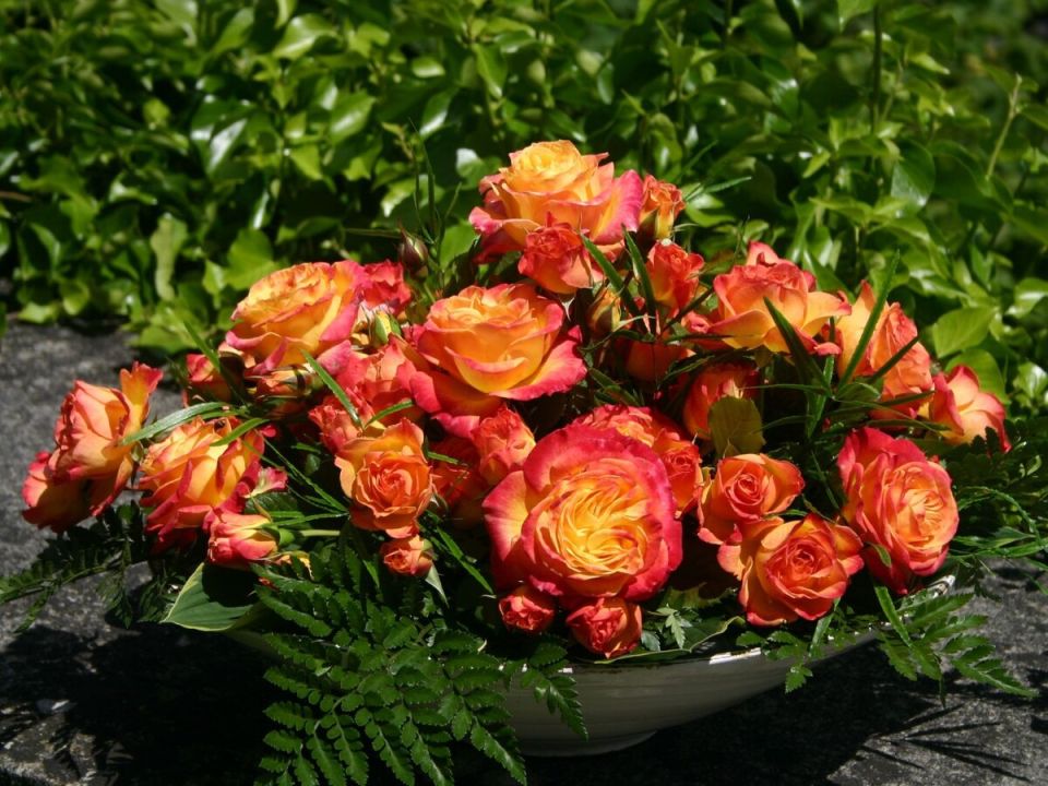 ������ �������� �������: ������ � ����� ��� �������� �������