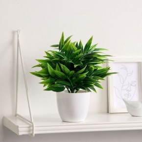 ��� ������� ���� ����� ����� ����������: 7 ������� ���������