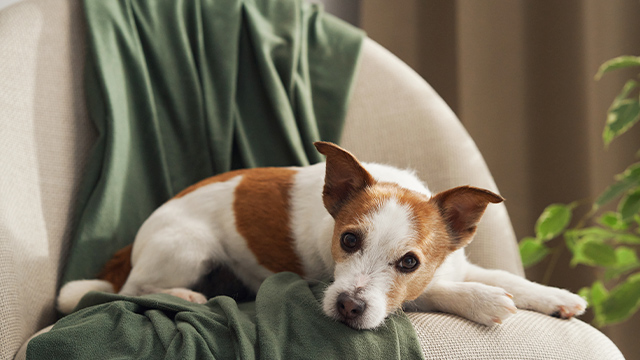 Как получить двойной задаток при срыве сделки: важные аспекты