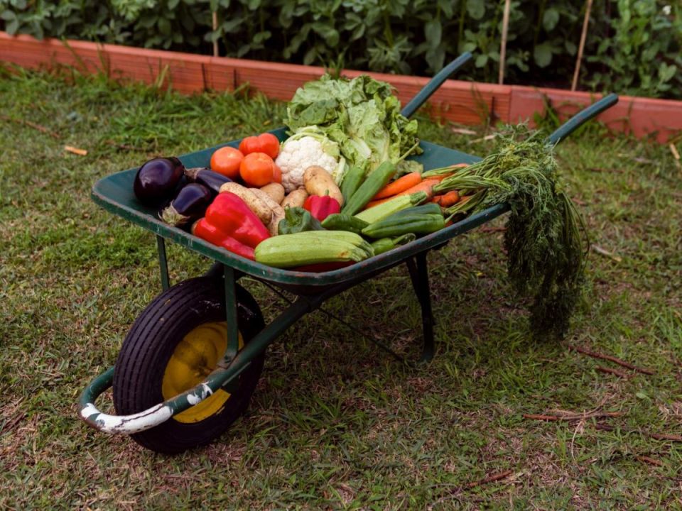 ������ �� ������� ������: �������������� ������� �������� ������ ������