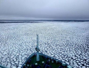Доброе утро, Заполярье!. В России начинается Масленица и в честь этого экипаж ледокола «Арктика» поделился снимком ледяных блинов