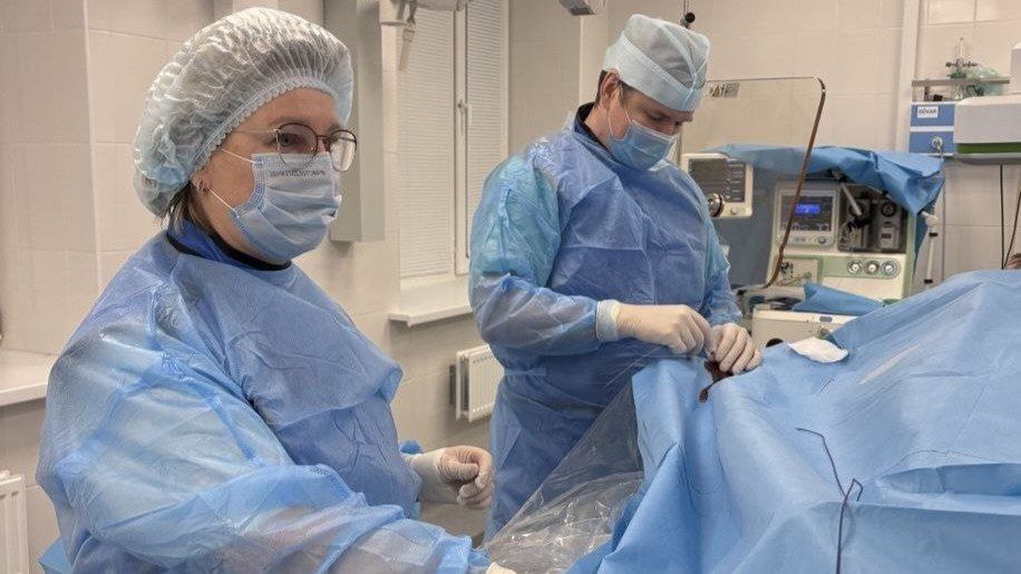 Специалисты из Мурманска провели 55 сложных внутрисосудистых операций Апатитско-Кировской ЦРБ