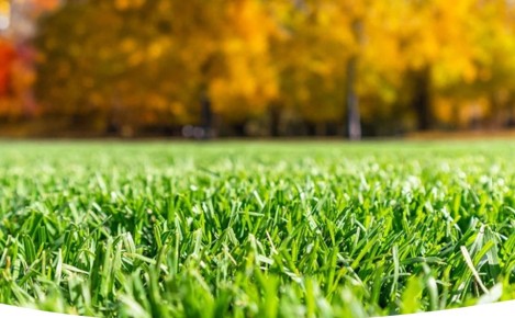 ������� ���� �� �������: �������� ������ ��� ���������� � ����