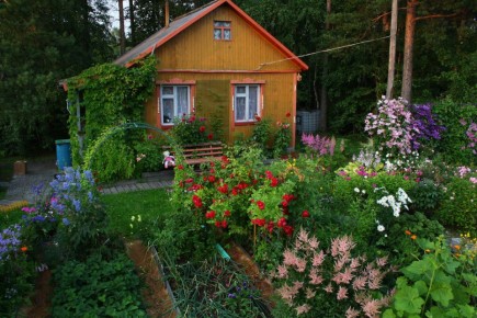 ������ ���������: ��� ������ � 10 �� 16 ����