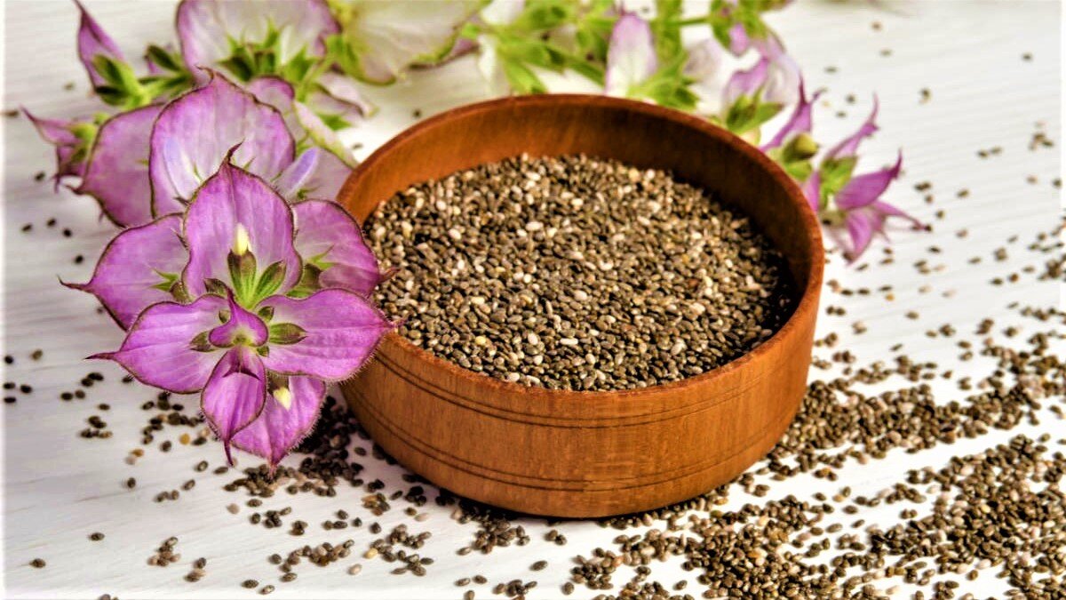 Неприхотливые многолетники для вашего сада: посев под зиму