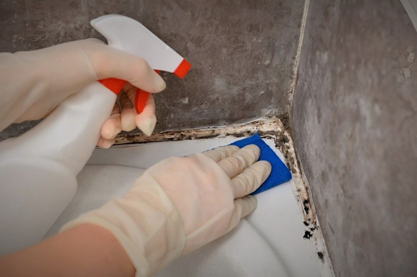 Как просто избавиться от плесени в ванной, не прибегая к химии