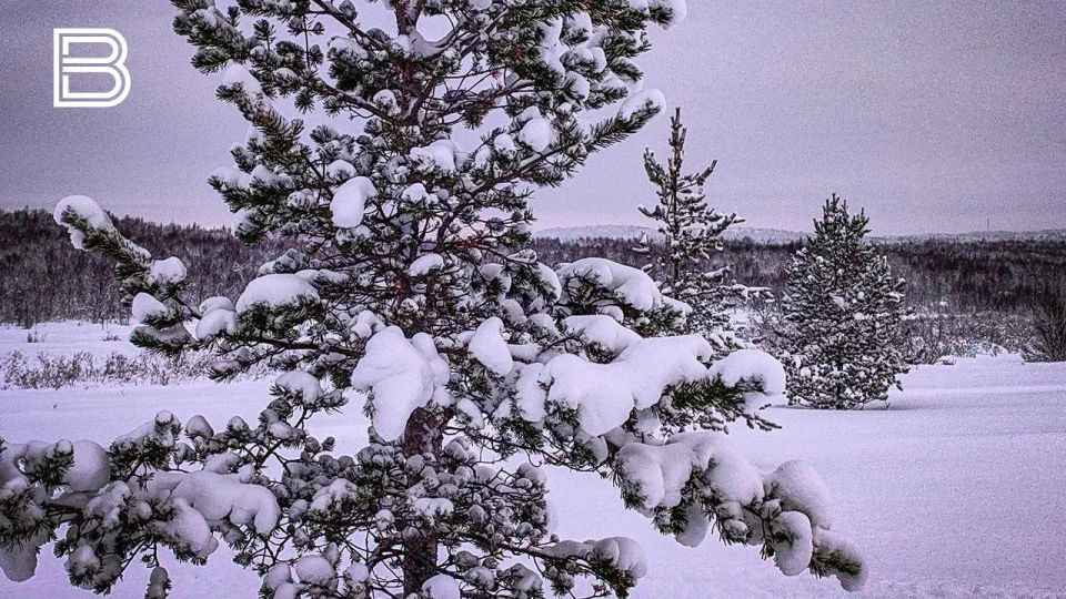 "������������� ������" ������� ������� ���������� ������� 21 �������