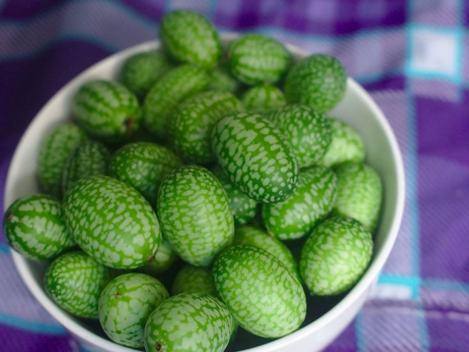 ��������� ��������: �����, ������� �������� ��������