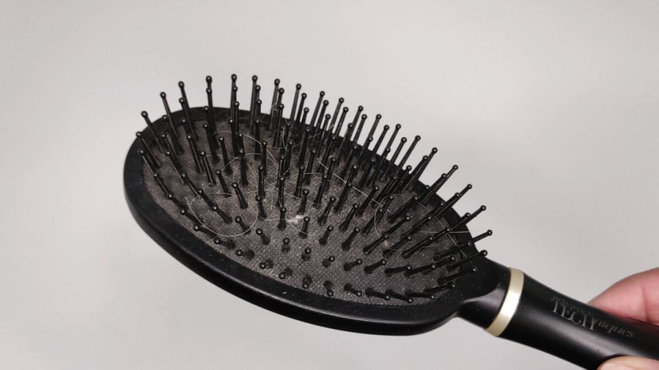 ��� ���������� �������� �������� �� ����� � ����� � �������� ��������