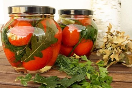 Как выбрать идеальные сорта для засолки и лучших рецептов маринованных томатов