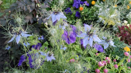 �������: ��������� ������� ��� ������ ����