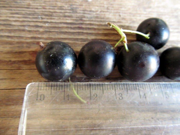 ��� ����� � ��� ������ ������ ��������� ������ ���������