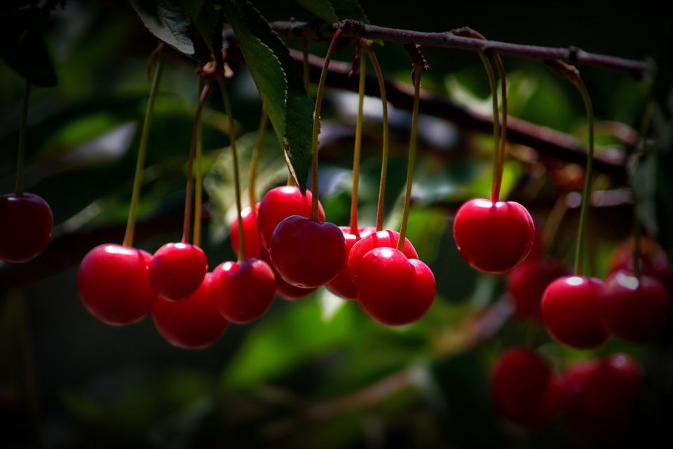 ��� ������ �������� ������ �� ���������� �������