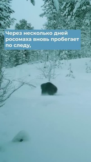 ������ ����, ���������!. � ����������� ������������ ����������� ��������� ����� ��� �������� � ������ ����, ���� ������ ��� ����� �������� � �������� � ���� ������ �� ����� ����