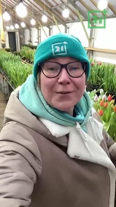 ��� � �������� �������� ������������ ��������