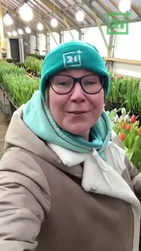 ��� � �������� �������� ������������ ��������