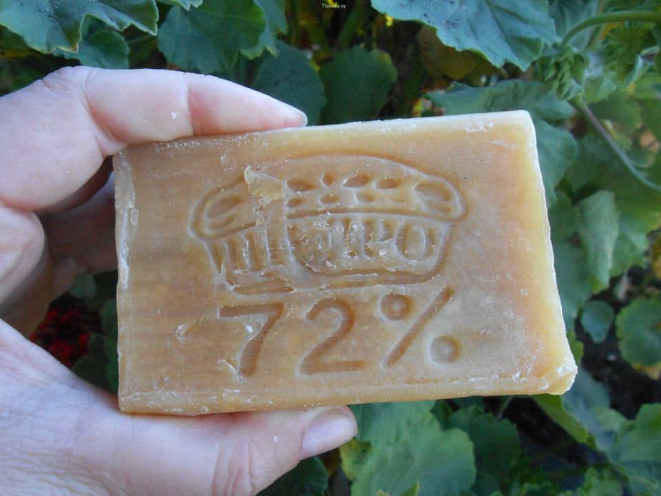 ��� ������������� ���� �������� �������������� ����������� �����