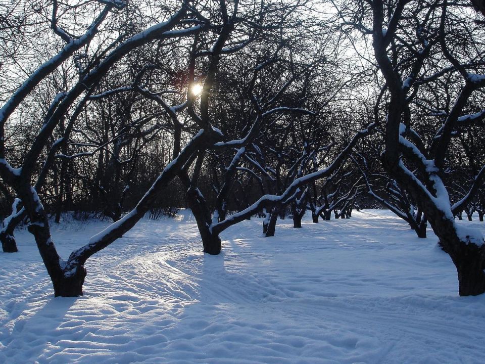 ��� ��������� ��������� �� ��������� �����: ����������� ����� �� ���?�