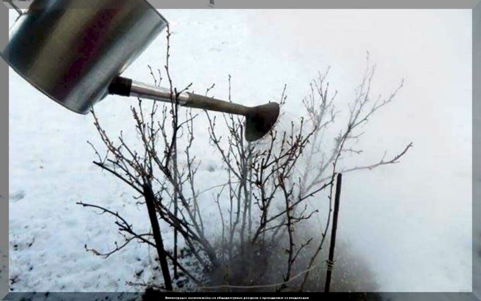 ������� ��������� ��������� ����� �� �����: ������ �� ����� ������ �������