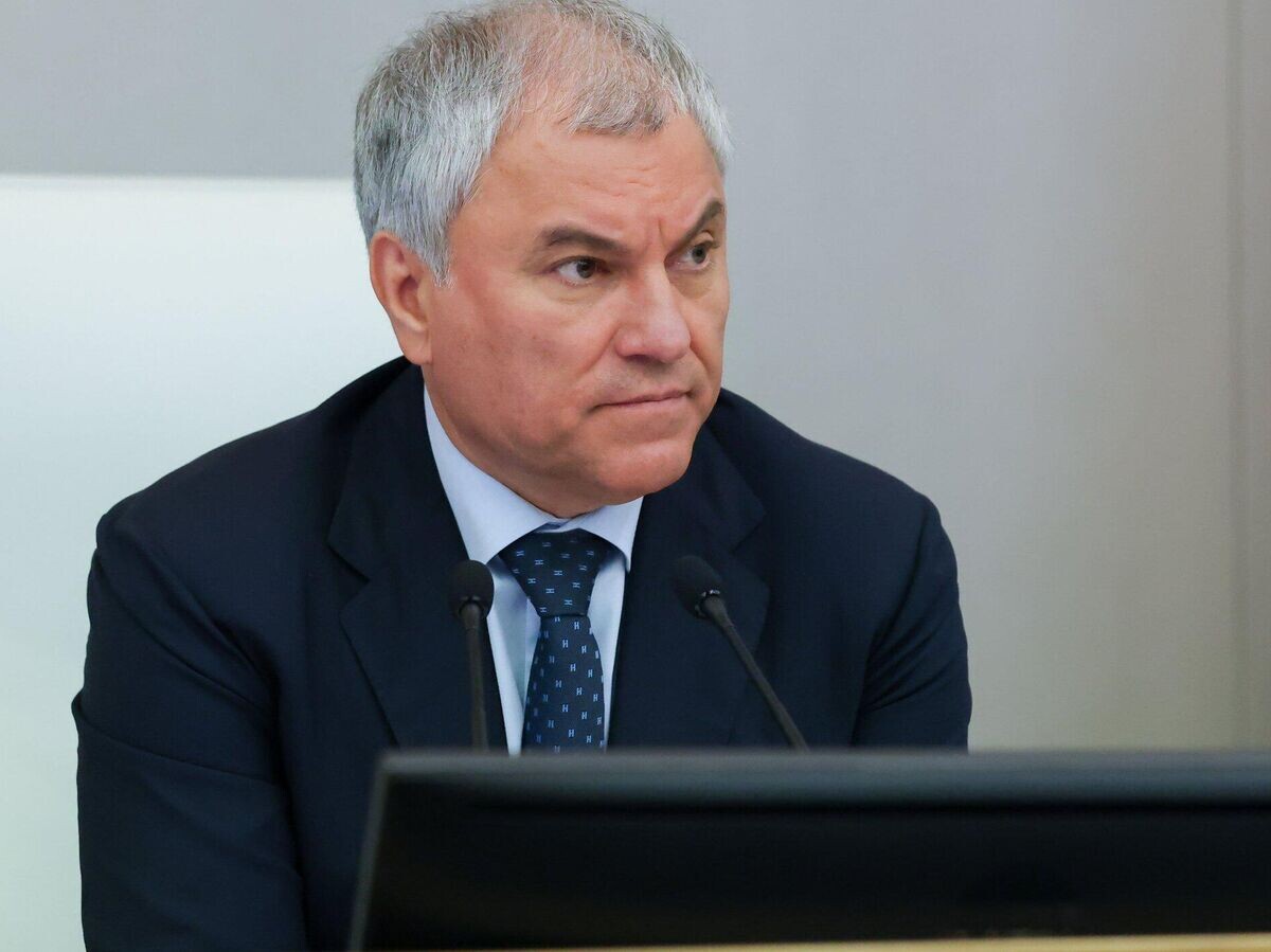 Володин призвал к контролю за тарифами правительства