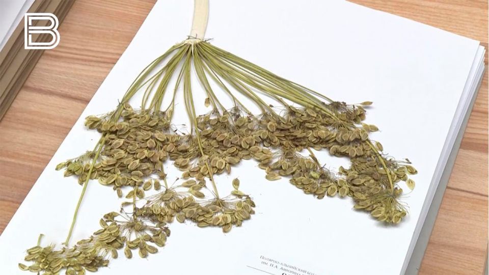 ���������������� �������� ��� ������� ����������� � ������ �������, ����������� ���� ����������