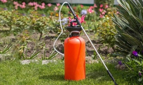 ��� �������� ��� � ������� �� ���������� � �������� �����