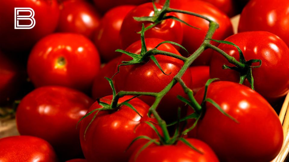 �� ������� � ������ � ���� ���������� ���������������� ���������� ����� � �������