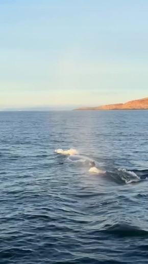 � ������������� ���������� ��-�� ������� ����� � ������