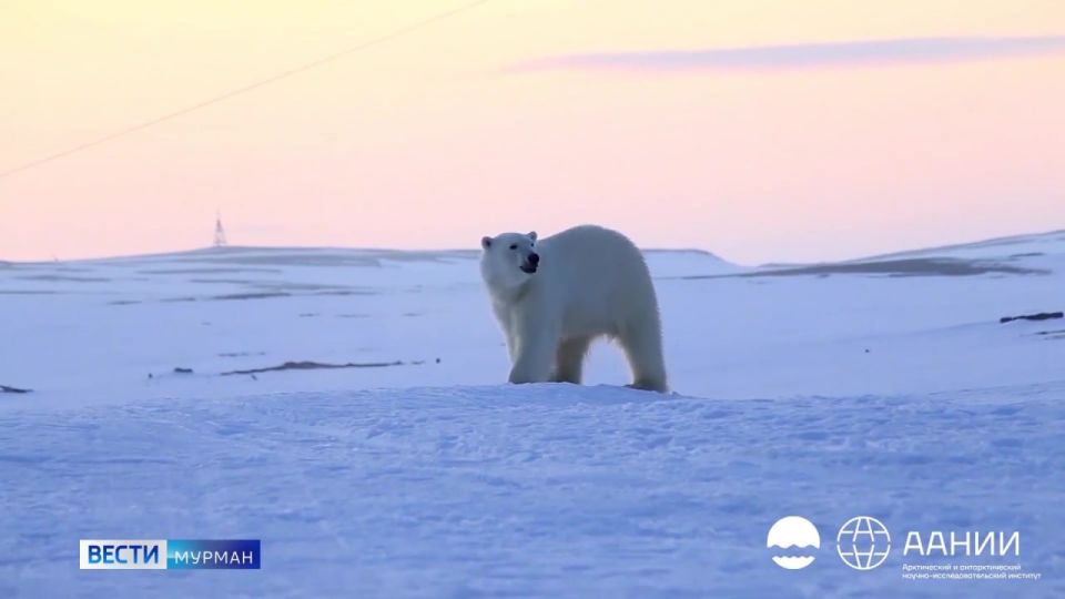 ��������� ���� ������ ������� ���������� 27 �������