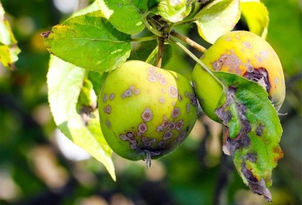 ��� ��������� ���������� ����� ��������� ��� ��������� ����