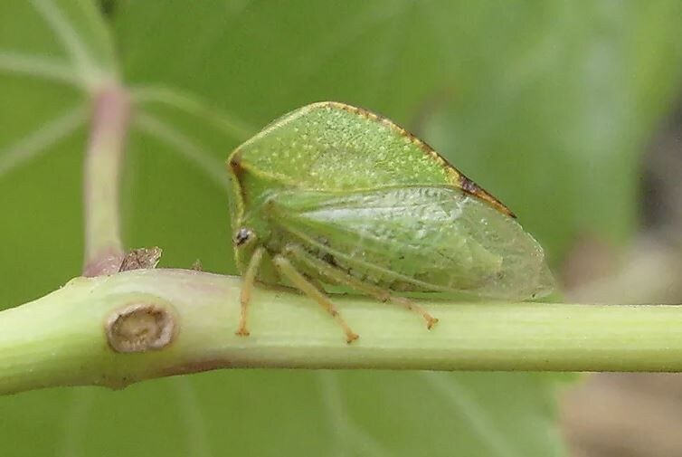 ������� �� ���������: ��� �������� ���� �� ��������������� �������