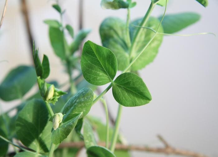 ������ �������� ������ � ����� ������ ������ �������