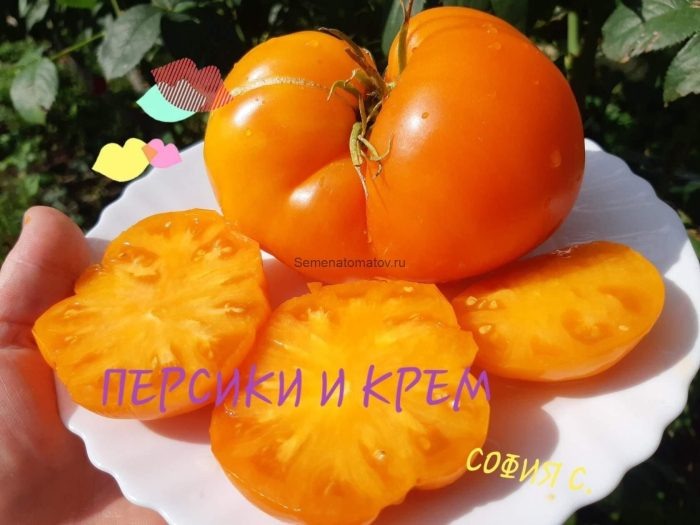 Томат Персики и крем: как создать идеальные плоды для вашего стола