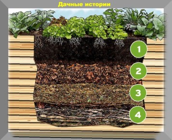 ����������� ������ ����������� �������: �� ������� ������ �� �����������