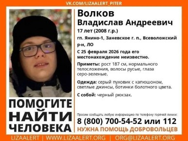 Александр Малькевич: В Петербурге ищут 17-летнего Владислава Волкова!