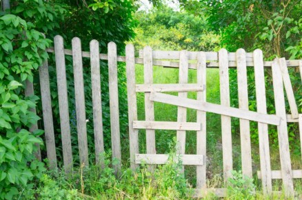 ������� ������� ������: 15 ���������, �� ������� ����� �������� ��������� ������