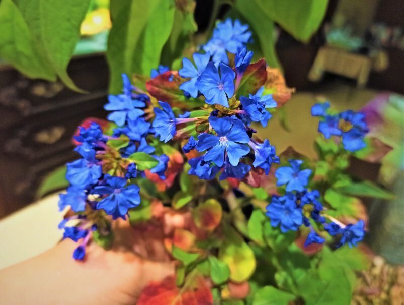 ������������: ����� �������� ���� � �������� ��� �����