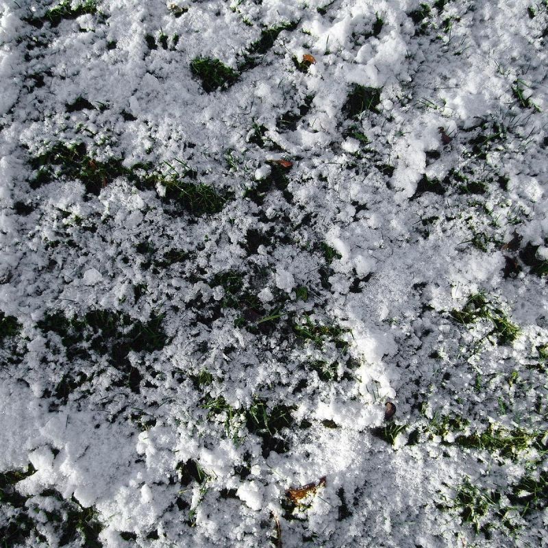 ��� �������� ��� �����: ������� ������ ��� ��������