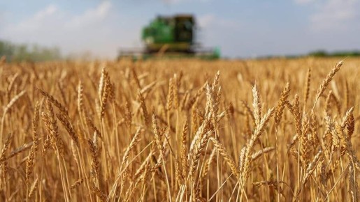 ��� ��������� � ������ � 1 �����: ����� ������ � ������ ������