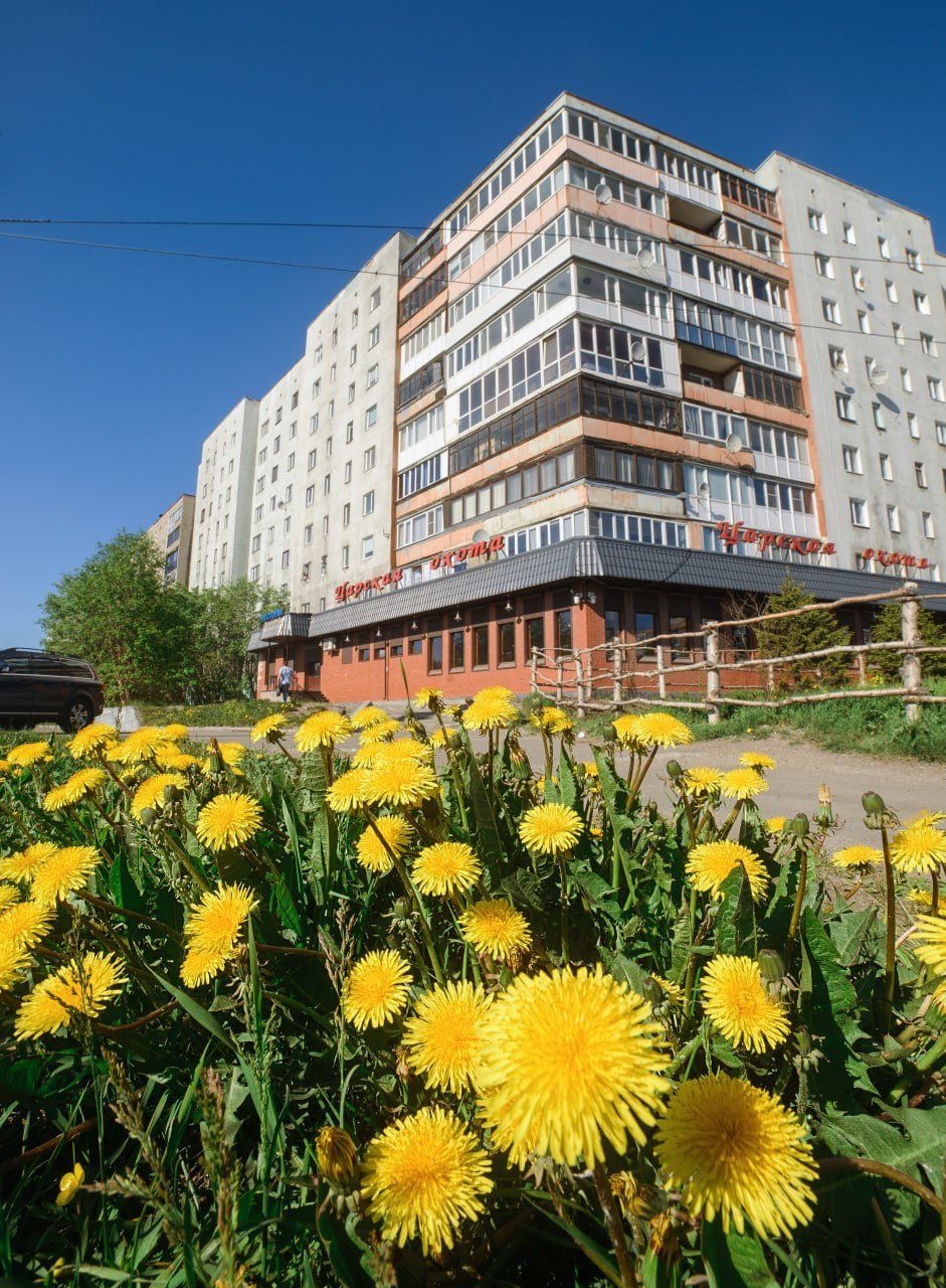 Доброе утро, Заполярье!. Пока север еще крепко держится за зиму, самое время вспомнить, каким бывает Мурманск летом – живым, светлым и неожиданно теплым Доброе утро, Заполярье!. Пока север еще крепко держится за зиму, самое время вспомнить, каким бывает Мурманск летом – живым, светлым и неожиданно теплым