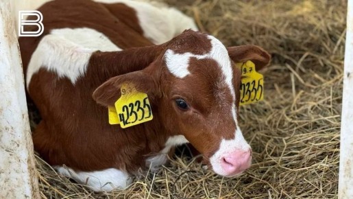 ����������� �������� ��������� "���������" ����� ��������� � ��������