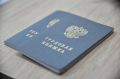 Официальное трудоустройство = права россиян под защитой
