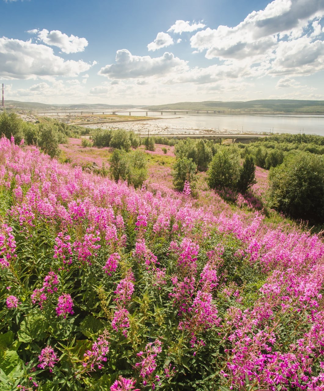Доброе утро, Заполярье!. Пока север еще крепко держится за зиму, самое время вспомнить, каким бывает Мурманск летом – живым, светлым и неожиданно теплым Доброе утро, Заполярье!. Пока север еще крепко держится за зиму, самое время вспомнить, каким бывает Мурманск летом – живым, светлым и неожиданно теплым