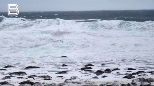 28 членов экипажа атакованного в Средиземном море газовоза везут обратно в Мурманск