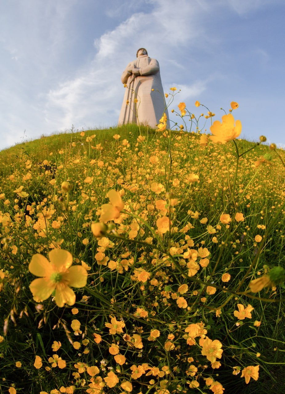 Доброе утро, Заполярье!. Пока север еще крепко держится за зиму, самое время вспомнить, каким бывает Мурманск летом – живым, светлым и неожиданно теплым Доброе утро, Заполярье!. Пока север еще крепко держится за зиму, самое время вспомнить, каким бывает Мурманск летом – живым, светлым и неожиданно теплым