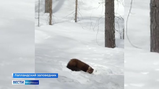 ����� ������������ �����������: ��� �������� ������� ������ � �������� ���������